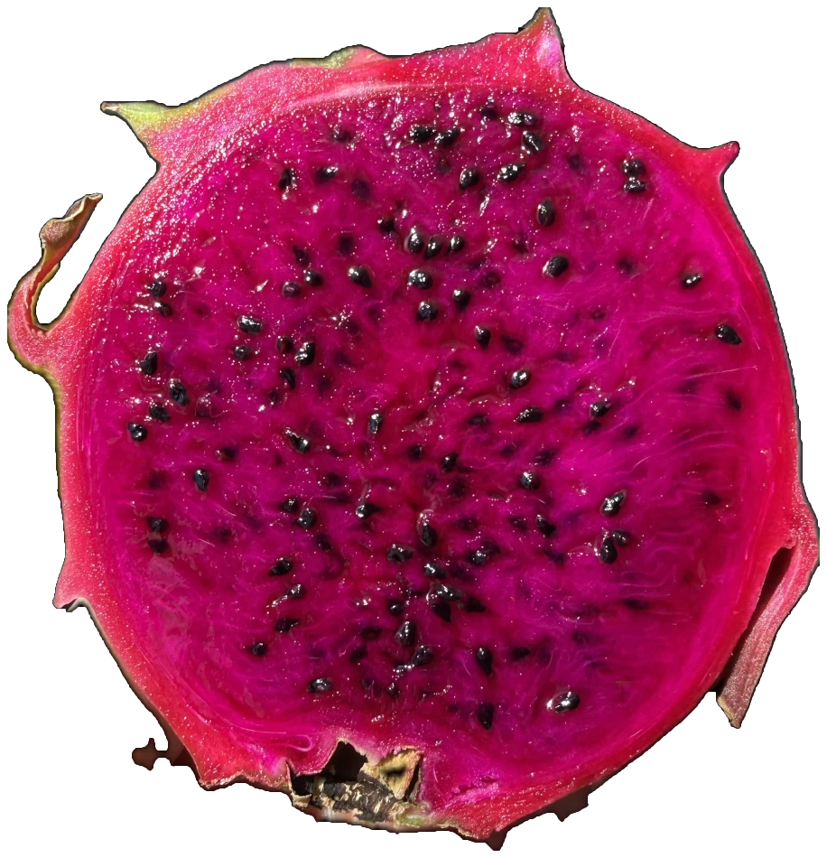 Peachy Keen dragon fruit cut in half, showing magenta flesh flecked with fine black seeds.